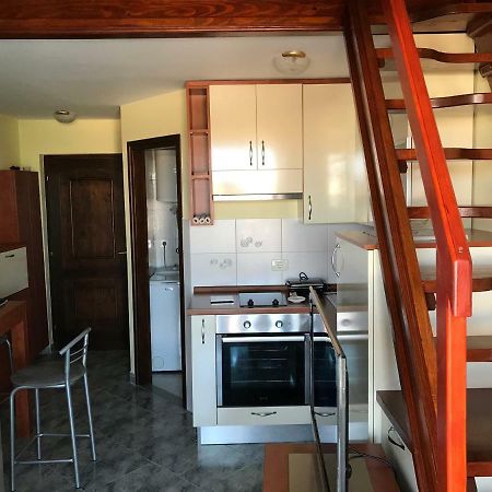 Studio Apartman Lorenzo Umag Zewnętrze zdjęcie